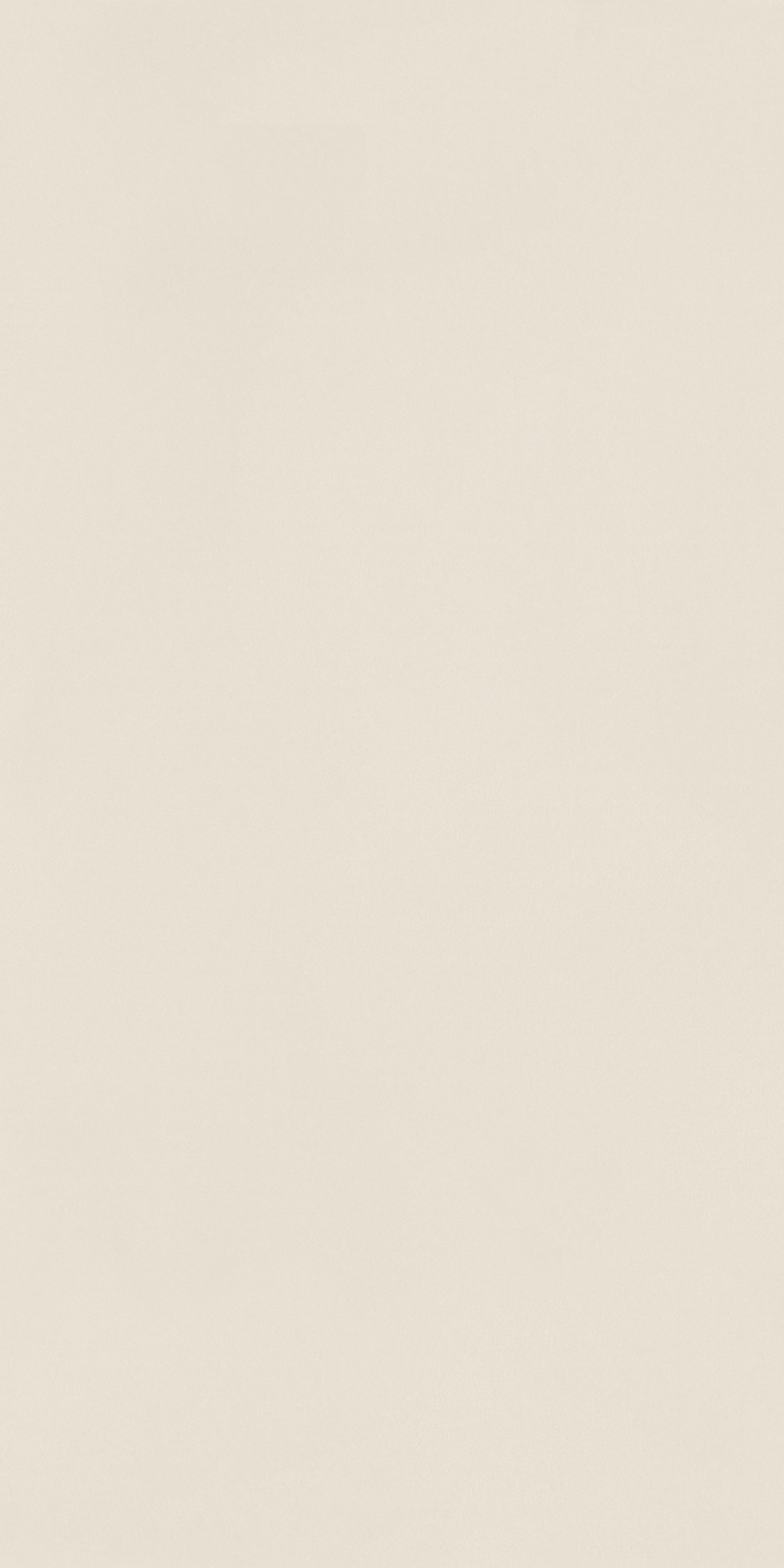 LJXB85812 薄纱米白产品图